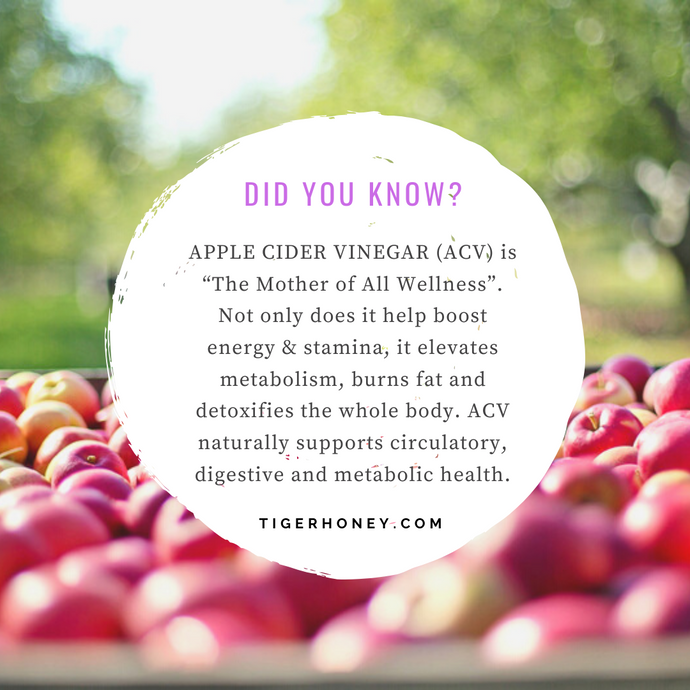 Apple Cider Vinegar: The Mother of Natural Wellness